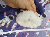 سویشرت فضانورد 🧑🚀